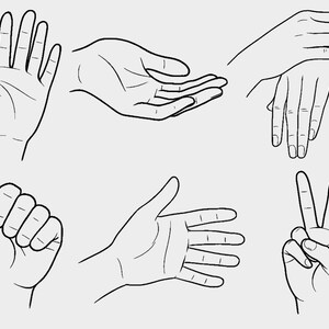 以下が含まれることがあります： さまざまな手のジェスチャーの線画：開いた手のひら、すくった手、組んだ手、握りこぶし、開いた手、ピースサイン。イラストは、明るい灰色の背景に黒色です。