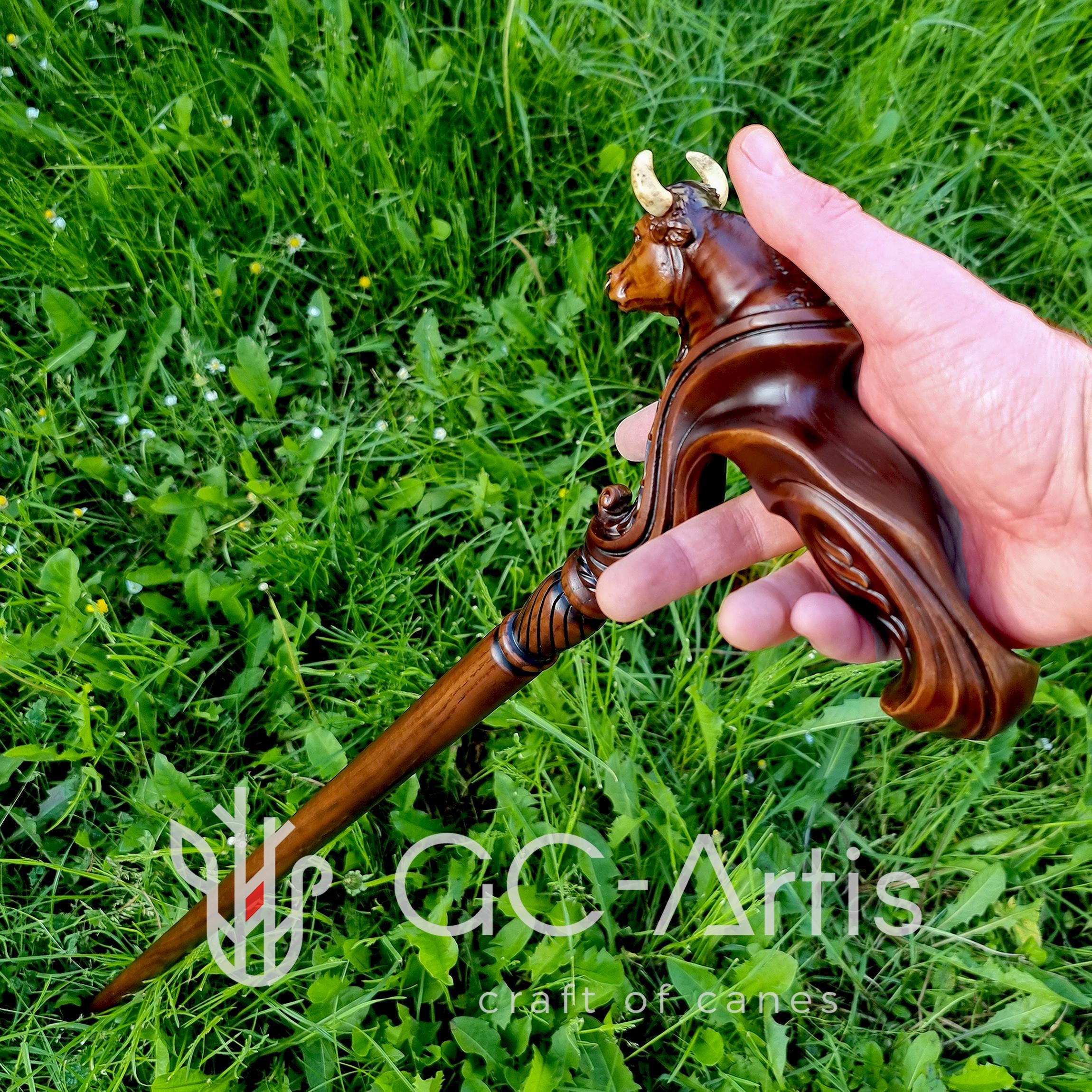 Uomo Con Il Bastone Da Passeggio Immagine Stock - Immagine di canna