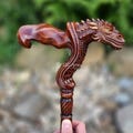 Dragon Cane wooden walking stick - ergonomic palm grip handle, wood carved fantasy walking cane for men or women, grandpa gift product logo