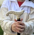 White Swallow Bird Walking stick - Elegant Wooden cane for women, hand carved wood crafted handle & black shaft - pretty ladies product logo