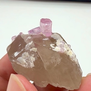 Könnte beinhalten: Ein rohes Mineralexemplar mit einer großen, durchscheinenden, hellbraunen Quarzkristallbasis mit Flecken aus weißen Mineralablagerungen. Mehrere kleine, leuchtend rosa, längliche Turmalinkristalle sind an der Oberseite befestigt.