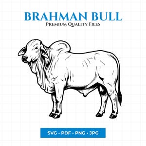 SVG de toro Brahman, imágenes prediseñadas de vaca cebú, vector de animales de granja, silueta de ganado vacuno (descarga digital)