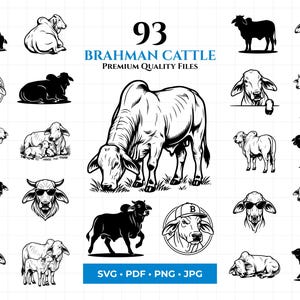 Puede incluir: Una colección de 93 ilustraciones en blanco y negro de ganado Brahman. Las imágenes muestran varias poses del ganado, incluyendo de pie, tumbado y con gafas de sol. También se incluye el texto "Brahman Cattle" y "Premium Quality Files".