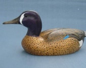 Hand carved Blue Winged Teal Drake Decoy Duck Robert Kelly Woodcarving