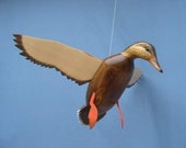 Hand carved Flying Mallard hen Decoy Duck carving