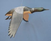 Hand carved Flying Common Loon decoy carving Robert Kelly Woodcarving