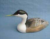 Hand carved Western Grebe Duck Decoy woodcarving by Robert Kelly
