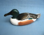 Northern Shoveler Drake carved Robert Kelly Woodcarving