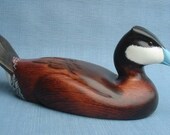 Hand carved Ruddy Duck Drake Decoy Carving Robert Kelly Woodcarving