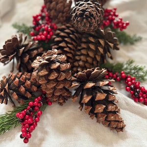 Hand gathered, naturally scented Pinecones for home decor.