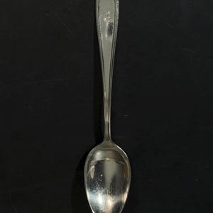 May include: A silver-colored metal spoon with a polished finish. The handle features a tapered design with a subtle decorative border and a small engraved emblem near the top. The bowl of the spoon is oval-shaped and reflects light on its surface.