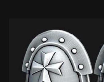 Pedido personalizado: almohadillas bt templar