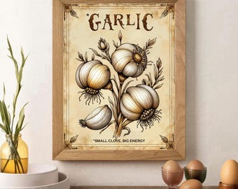 Knoblauch Küche Poster zum Ausdrucken: Retro Kräuter Illustration Illustration (Digitaler Download)