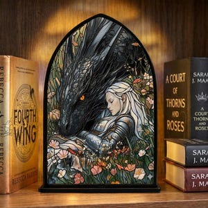 Puede incluir: Panel decorativo de vidrieras con un dragón y una mujer con armadura, sobre un fondo floral. El panel, con marco negro, se encuentra en una estantería de madera con libros. Los títulos de los libros incluyen "Fourth Wing" y "A Court of Thorns and Roses".