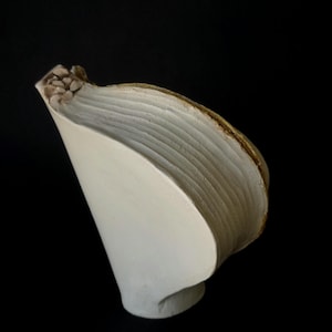 Op de afbeelding: Een sculpturaal keramisch object met een matte witte afwerking, met een gebogen, waaiervormige structuur met gelaagde, geribbelde texturen langs de bovenrand en een cluster van kleine, getextureerde, bruingrijze uitsteeksels in de linkerbovenhoek.