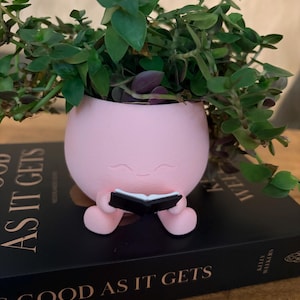 Op de afbeelding: Een lichtroze, ronde plantenpot met een gebeeldhouwd figuurtje met een glimlachend gezicht dat een klein zwart-wit boekje vasthoudt. De pot bevat een groene bladplant en staat op een zwart boek met de titel AS GOOD AS IT GETS.