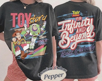Vintage Toy Story 1995 Retro Comfort Colors Shirt, Woody Buzz Lightyear Tee, To Infinity And Beyond, WDW Disneyland Family Matching Vacation