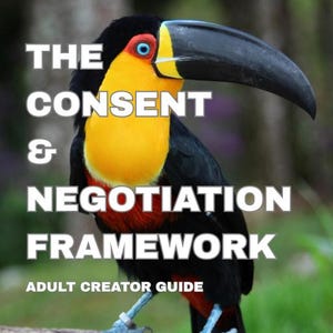 Förnedringskontraktet och verktygslådan | Ditt ramverk för säker förnedring