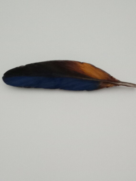 Hand Carved Hand Painted Feather Brooch and Match… - image 2