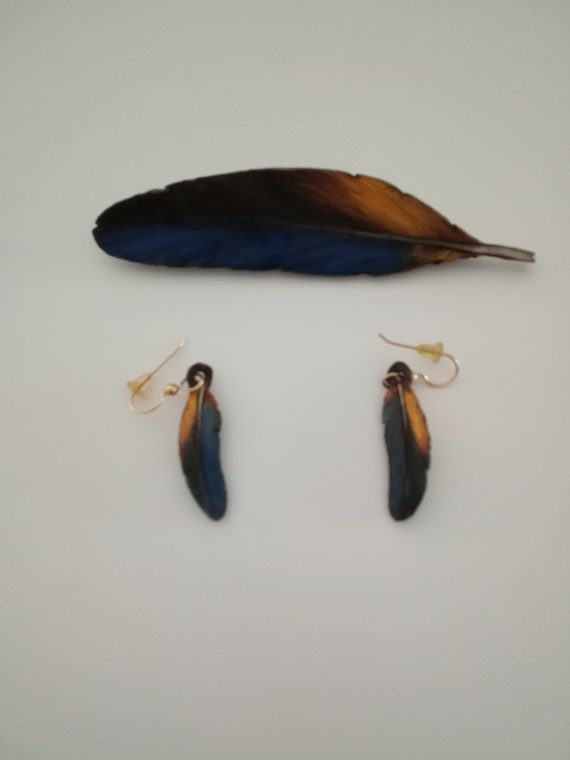 Hand Carved Hand Painted Feather Brooch and Match… - image 1