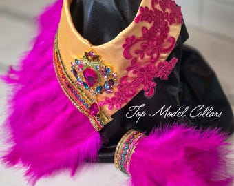 Standard Poodle Fashion V-Collar