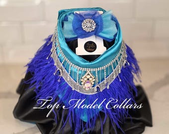 Standard Poodle Fashion V-Collar set with bow