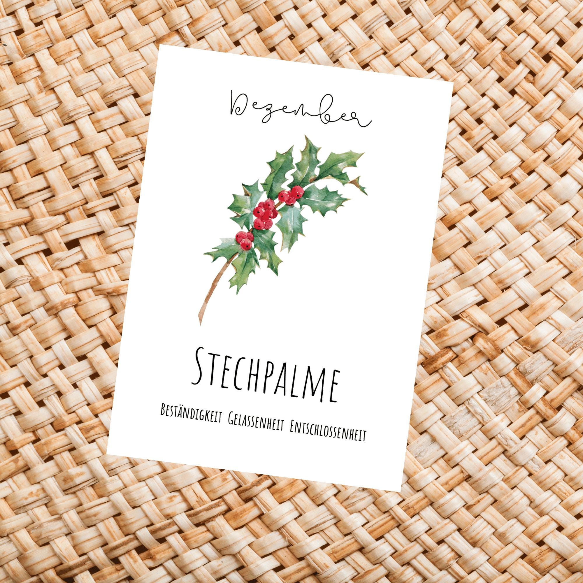 Geburtsblume der stechpalme - Etsy.de