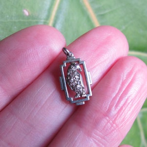 May include: A small, silver-toned pendant featuring a bird design within a rectangular frame. The bird is detailed with small, sparkling accents. The pendant is held against a green leaf background.