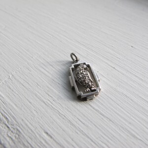 May include: A silver-toned pendant featuring a bird design. The bird is detailed with small, sparkling accents, possibly gemstones, within a rectangular frame. The pendant has a small loop for attaching to a chain or bracelet.