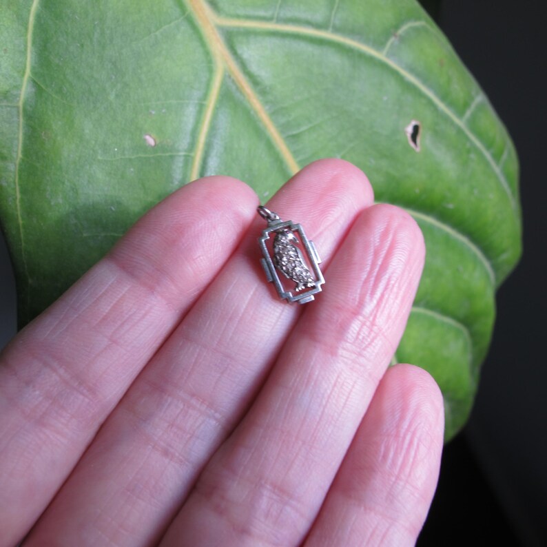 May include: A small, silver-toned owl charm pendant. The owl is detailed within a rectangular frame. The charm is suspended from a small loop, ready to be added to a necklace or bracelet. The background is a large green leaf.