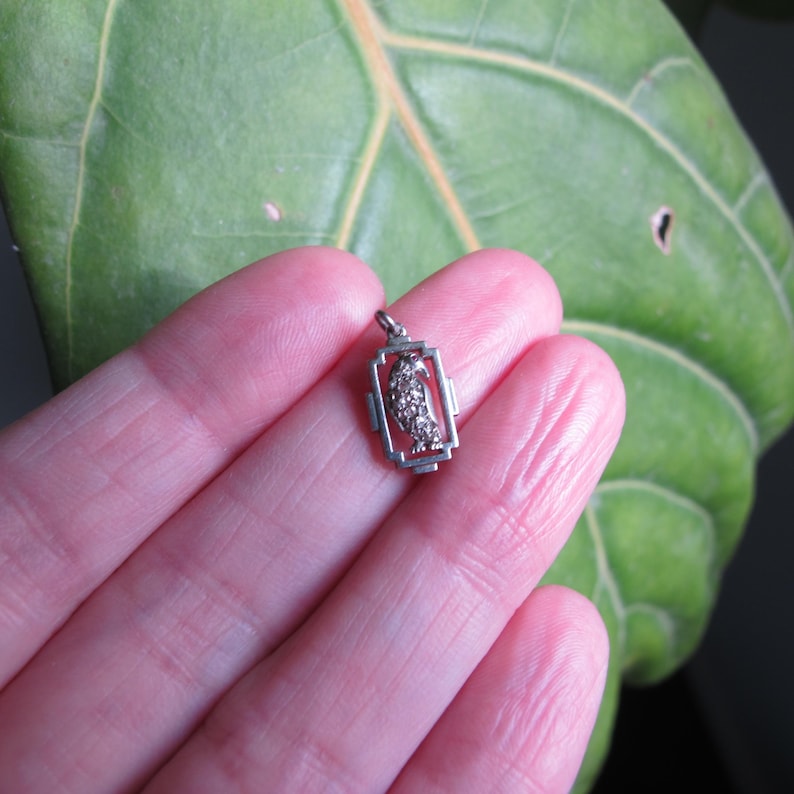 May include: A small, silver-toned pendant featuring a bird design within a rectangular frame. The bird is detailed with small, sparkling accents. The pendant is held against a green leaf background.