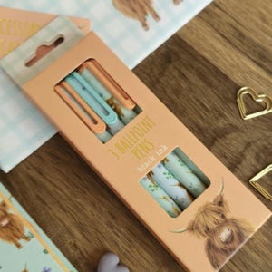 May include: A rectangular peach-coloured cardboard box containing three ballpoint pens with black ink. The packaging features a Highland cow illustration and the text 3 BALLPOINT PENS black ink. The pens have light blue and peach accents.
