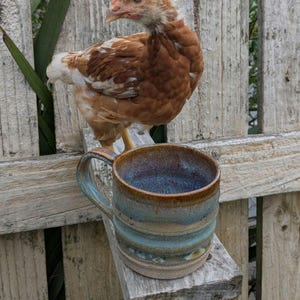 Könnte beinhalten: Ein braunes und weißes Huhn steht in der Nähe einer handgefertigten Keramiktasse. Die Tasse hat eine blaue und braune Glasur mit einem Henkel. Die Tasse steht auf einem Holzbrett. Der Hintergrund ist ein verwitterter Holzzaun.
