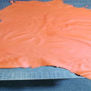 Puede incluir: Una pieza grande de cuero de color naranja vibrante con forma irregular y superficie lisa. El material presenta un acabado mate consistente en toda su superficie, con bordes naturales y orgánicos y pliegues sutiles que crean sombras suaves.