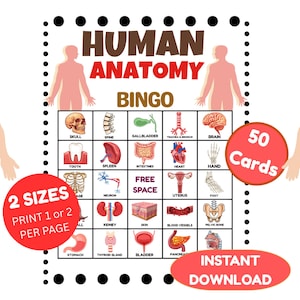 Puede incluir: Un juego de Bingo de Anatomía Humana con una cuadrícula de ilustraciones anatómicas. El juego incluye el texto "Human Anatomy Bingo", "50 Cards", "2 Sizes" y "Instant Download". El juego presenta ilustraciones del cráneo, el cerebro, el corazón y otras partes del cuerpo.