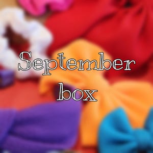 September monthly bow box, monthly scrunchies box, hair accessories, headbands, monthly gift for her