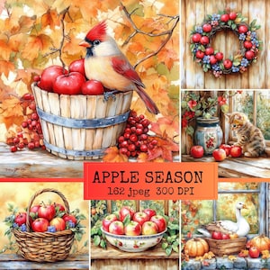 Pode incluir: Uma coleção de arte digital intitulada APPLE SEASON 162 jpeg 300 DPI com um cardeal num balde de madeira com maçãs vermelhas, uma coroa de maçãs, um gatinho perto de um frasco, um cesto de maçãs, uma taça de maçãs e um ganso.