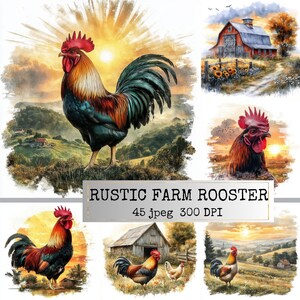May include: A digital art collection featuring a vibrant rooster with red comb and wattle, set against a sunset backdrop. The image includes a barn scene and other rooster illustrations, evoking a rustic farm theme.