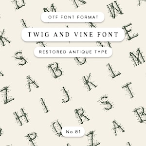 May include: A cream-colored background features a repeating pattern of letters from the alphabet, each designed with a twig and vine motif. The text "TWIG AND VINE FONT" is displayed, along with "OTF FONT FORMAT" and "RESTORED ANTIQUE TYPE". The number "No. 81" is also visible.