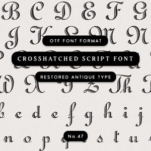 Crosshatched script typeface cover featuring engraved antique cursive letterforms with hatched detailing.