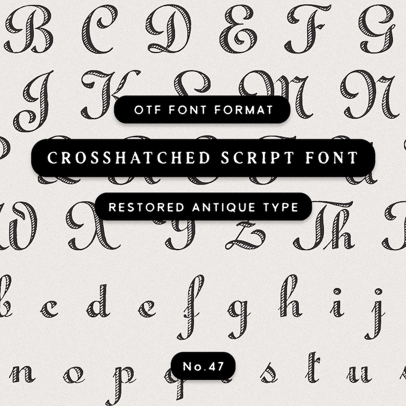 Crosshatched script typeface cover featuring engraved antique cursive letterforms with hatched detailing.