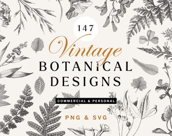 Vintage Botanical Illustrations: 147 Floral SVG & PNG Bundle
