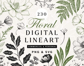 Botanical Line Art Bundle: 230 Floral SVG & PNG Illustrations (Digital Download)