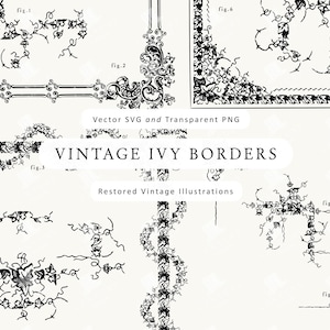 Könnte beinhalten: Eine Sammlung von Vintage-Efeu-Bordüren-Illustrationen in Schwarz und Weiß. Das Bild zeigt verschiedene Designs, wie Eckstücke, lineare Bordüren und dekorative Elemente. Der Text auf dem Bild lautet "Vintage Ivy Borders" und "Restored Vintage Illustrations."