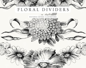 Set of Floral Lineart Divider Illustrations in PNG, SVG, and EPS Formats