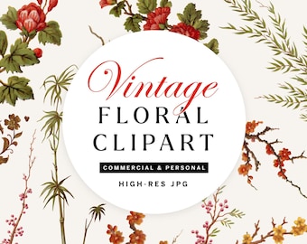 Vintage Floral Clipart: Botanical PNG Illustrations (Digital Download)