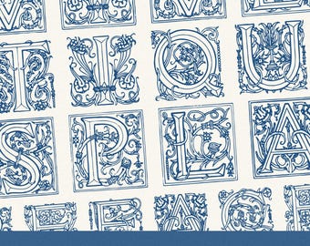 Highly Ornate Vintage Drop Cap Font – 1800s Engraved Lettering with Decorative Flourishes (No.3)
