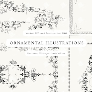 May include: A collection of black and white ornamental illustrations, including borders, corners, and decorative elements. The text "ORNAMENTAL ILLUSTRATIONS" and "Restored Vintage Illustrations" are displayed. The image also includes the text "Vector SVG and Transparent PNG".
