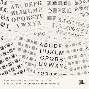 Collection of antique type specimen sheets from the Century Library archives showcasing historic lettering styles.