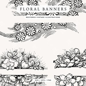 May include: Black and white floral banner illustrations. The image features several vintage-style floral designs, including daisies and roses, with the text "FLORAL BANNERS" and "RESTORED VINTAGE ILLUSTRATIONS". The image also includes SVG, EPS, and PNG file type information.